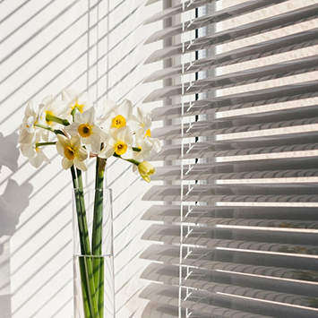 Description of Image